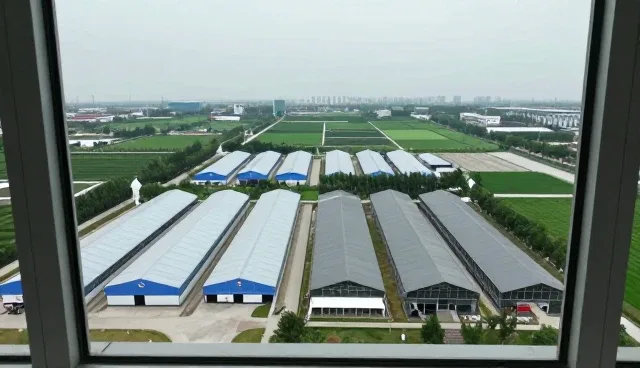 景观膜结构维护的关键性能与适用条件分析